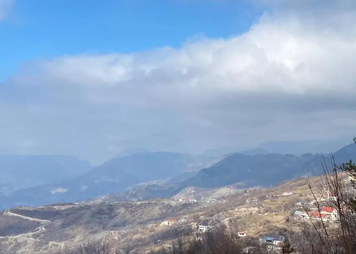 Qafe-murrize, * 地拉那