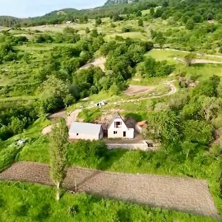 Lodge Qafe-murrize, Tirana